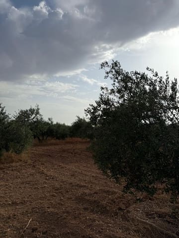 Grunde uden byggetilladelser til salg i Carmona - € 55.000 (Ref: 9085343)