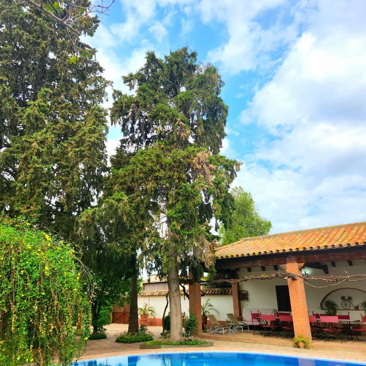 4 sypialnia Willa na sprzedaż w Ecija z basenem - 780 000 € (Ref: 9089850)