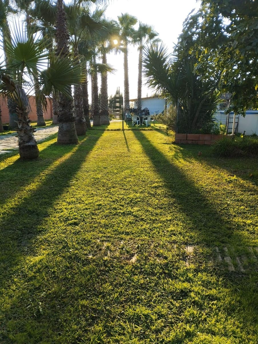 Undeveloped Land for sale in Carmona - € 141,000 (Ref: 9134498)