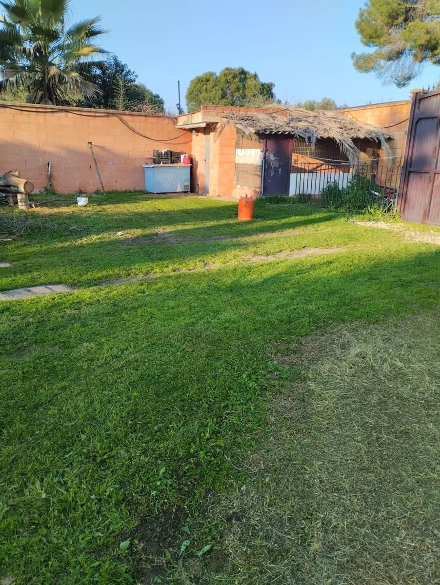 Undeveloped Land for sale in Carmona - € 141,000 (Ref: 9134498)