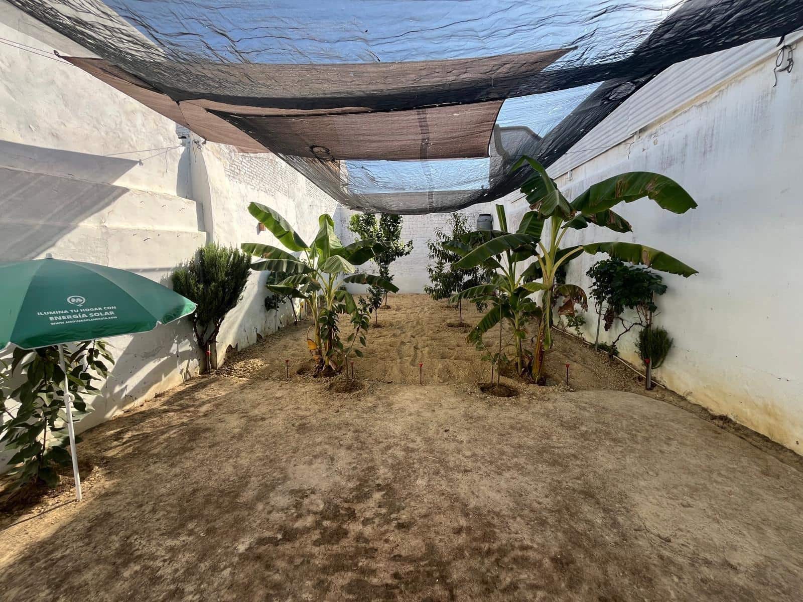 3 slaapkamer Huis te koop in Carrion de los Cespedes - € 142.000 (Ref: 9161067)