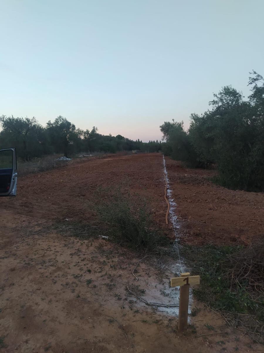 Grunde uden byggetilladelser til salg i Almensilla - € 180.000 (Ref: 9171515)