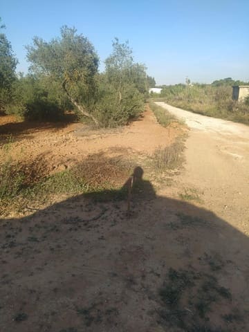 Grunde uden byggetilladelser til salg i Almensilla - € 180.000 (Ref: 9171515)