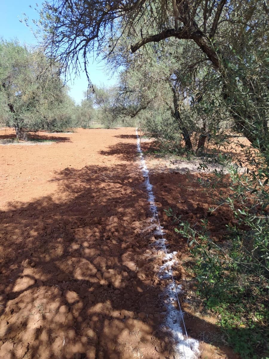 Grunde uden byggetilladelser til salg i Almensilla - € 180.000 (Ref: 9171515)