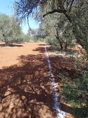 Grunde uden byggetilladelser til salg i Almensilla - € 180.000 (Ref: 9171515)