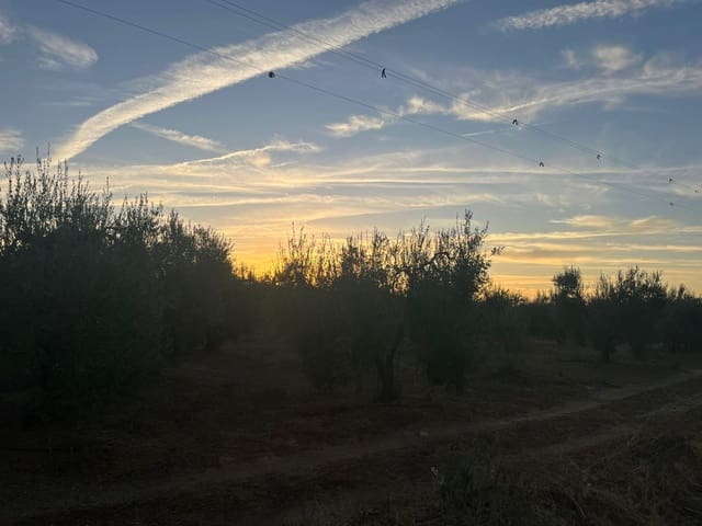 Grunde uden byggetilladelser til salg i Huévar - € 110.000 (Ref: 9220022)