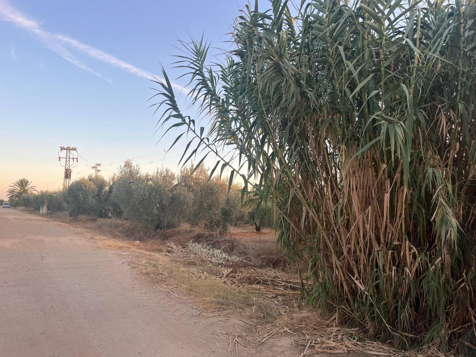 Teren niezagospodarowany na sprzedaż w Huevar - 110 000 € (Ref: 9220022)