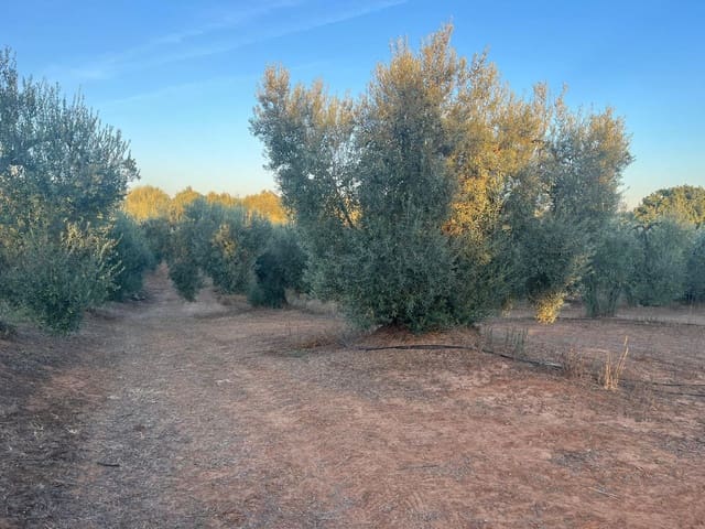 Grunde uden byggetilladelser til salg i Huévar - € 110.000 (Ref: 9220022)