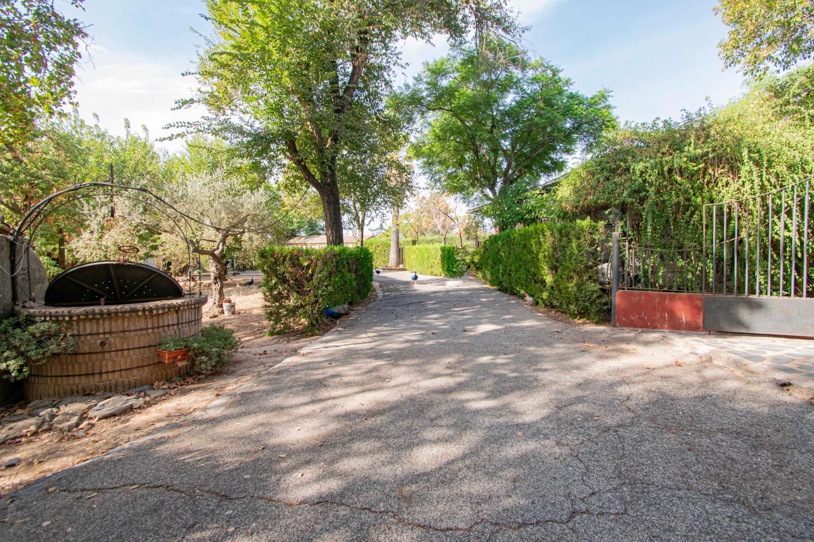 7 bedroom Finca/Country House for sale in Mairena del Aljarafe with pool - € 800,000 (Ref: 9330689)