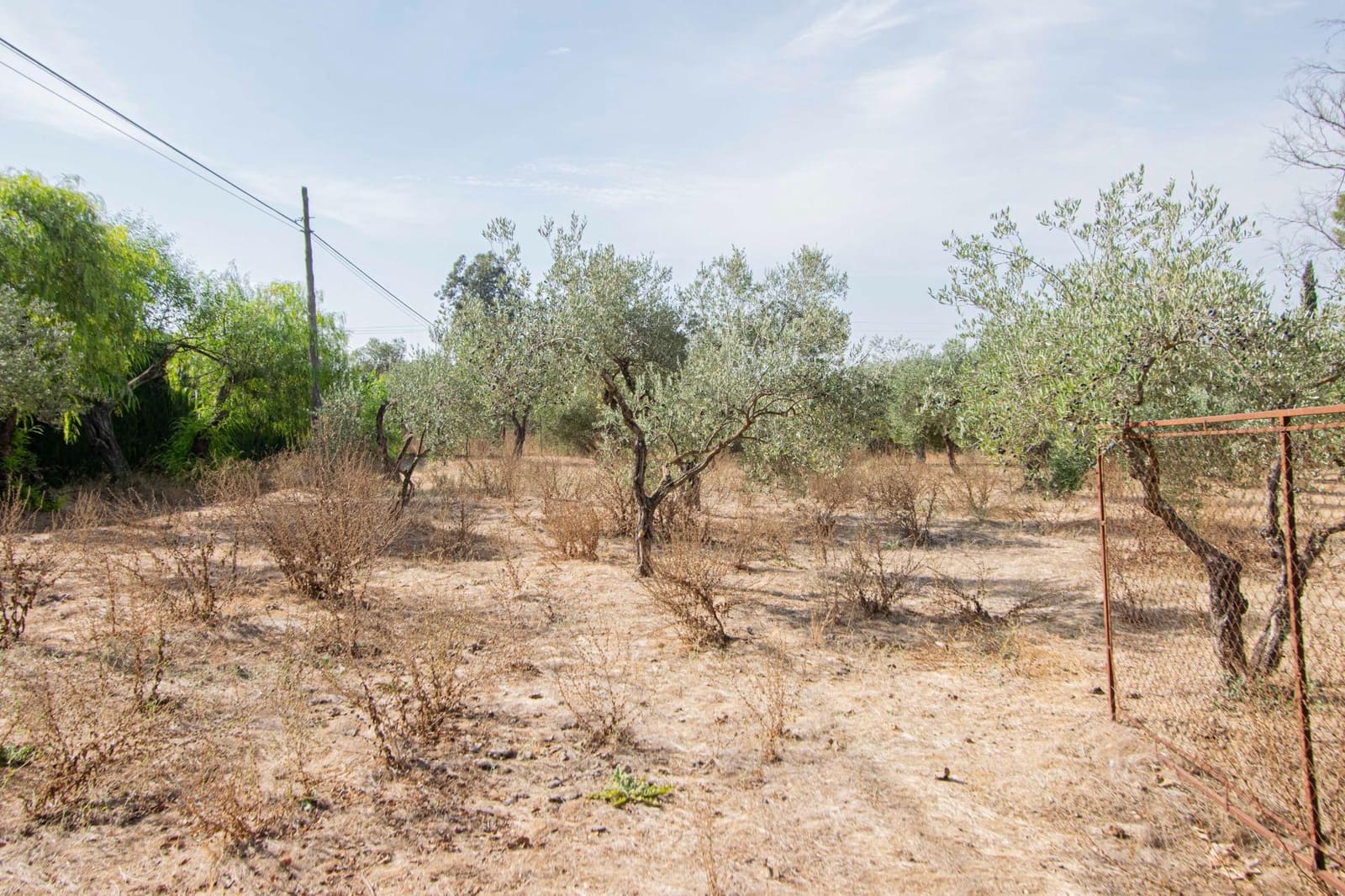 7 bedroom Finca/Country House for sale in Mairena del Aljarafe with pool - € 800,000 (Ref: 9330689)