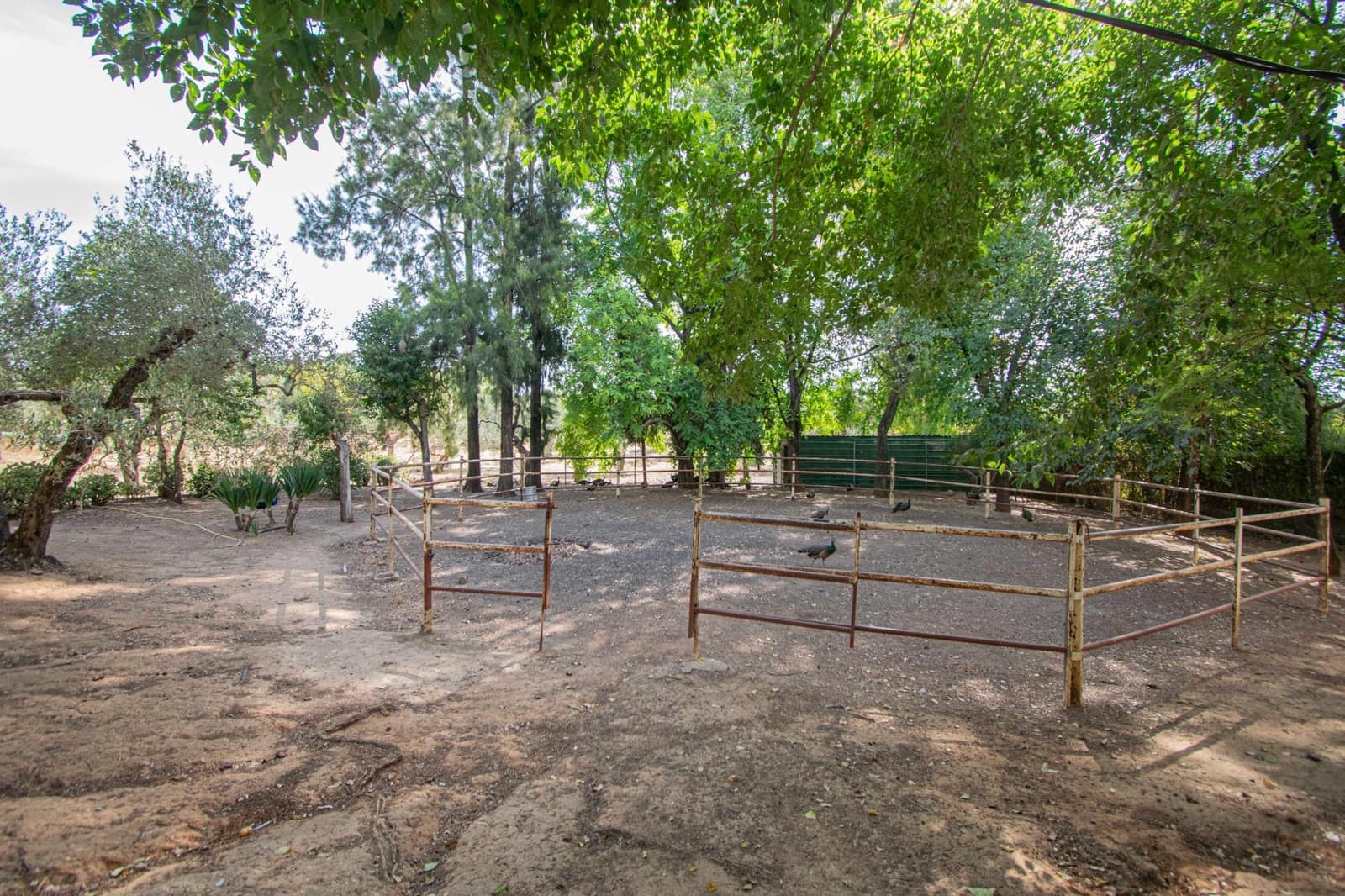 7 bedroom Finca/Country House for sale in Mairena del Aljarafe with pool - € 800,000 (Ref: 9330689)