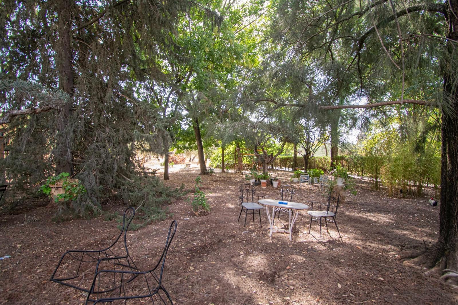 7 bedroom Finca/Country House for sale in Mairena del Aljarafe with pool - € 800,000 (Ref: 9330689)