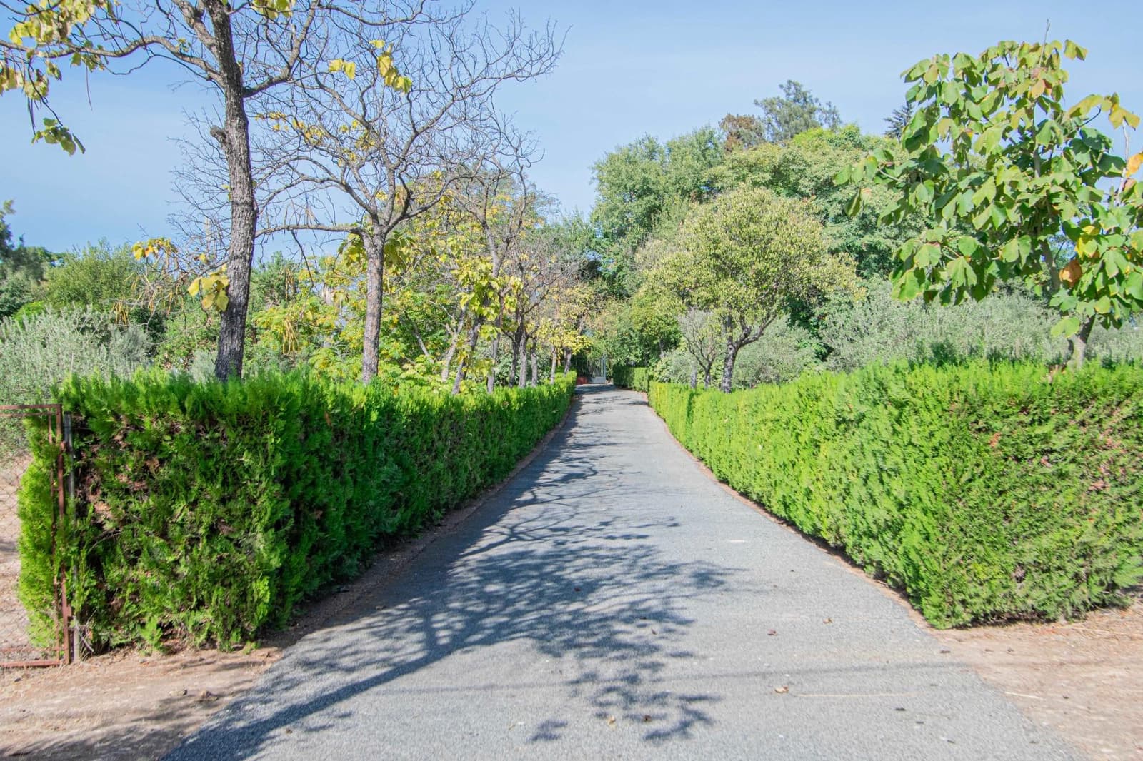 7 bedroom Finca/Country House for sale in Mairena del Aljarafe with pool - € 800,000 (Ref: 9330689)