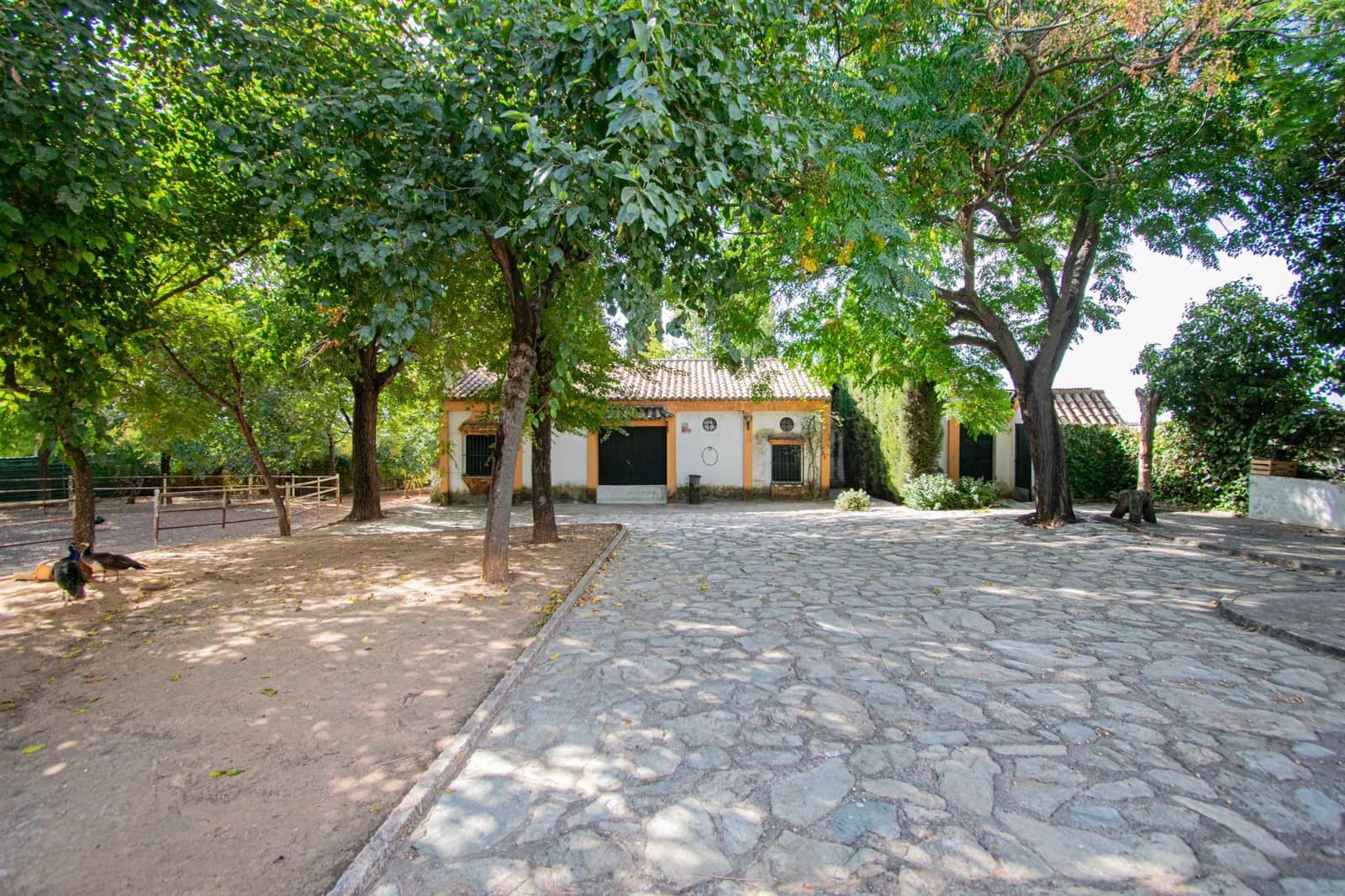 7 bedroom Finca/Country House for sale in Mairena del Aljarafe with pool - € 800,000 (Ref: 9330689)