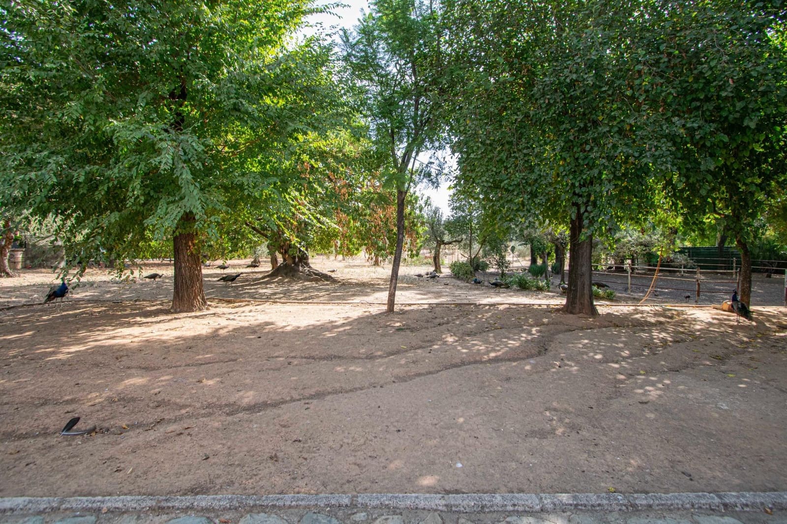 7 bedroom Finca/Country House for sale in Mairena del Aljarafe with pool - € 800,000 (Ref: 9330689)