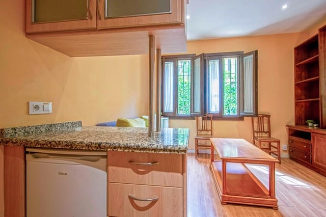 1 soveværelse Lejlighed til leje i Sevilla by - € 780 (Ref: 9359663)