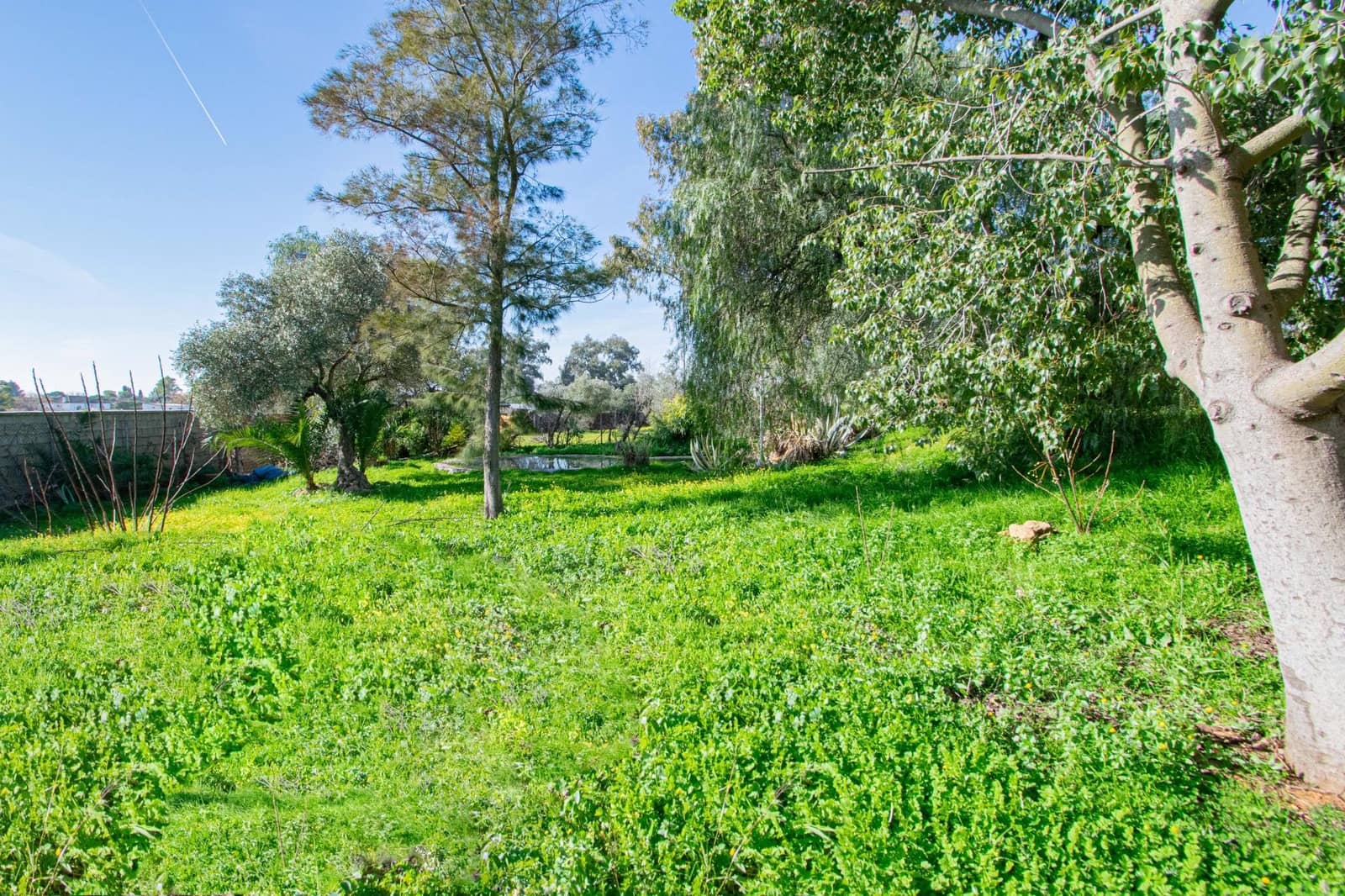 6 bedroom Finca/Country House for sale in Carmona with garage - € 385,336 (Ref: 9513473)