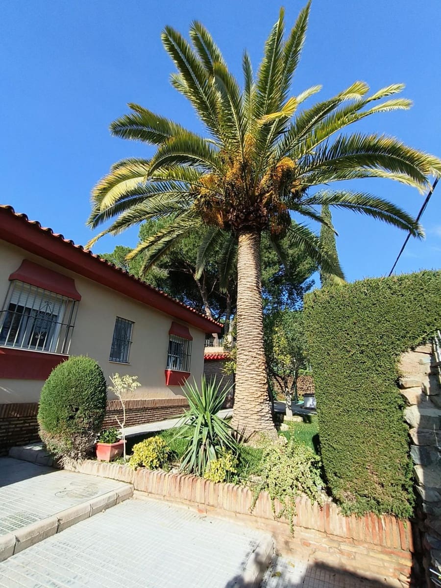 4 bedroom Villa for sale in Carmona with pool garage - € 450,000 (Ref: 9533819)