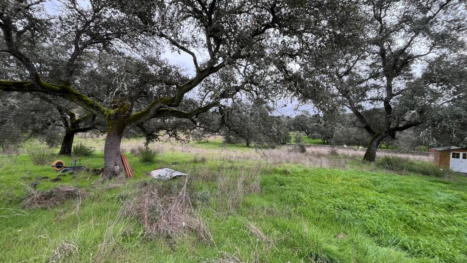 3 soveværelse Finca/Landehus til salg i El Castillo de las Guardas - € 170.000 (Ref: 9541202)