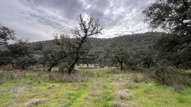 3 slaapkamer Finca/Landhuis te koop in El Castillo de las Guardas - € 170.000 (Ref: 9541202)