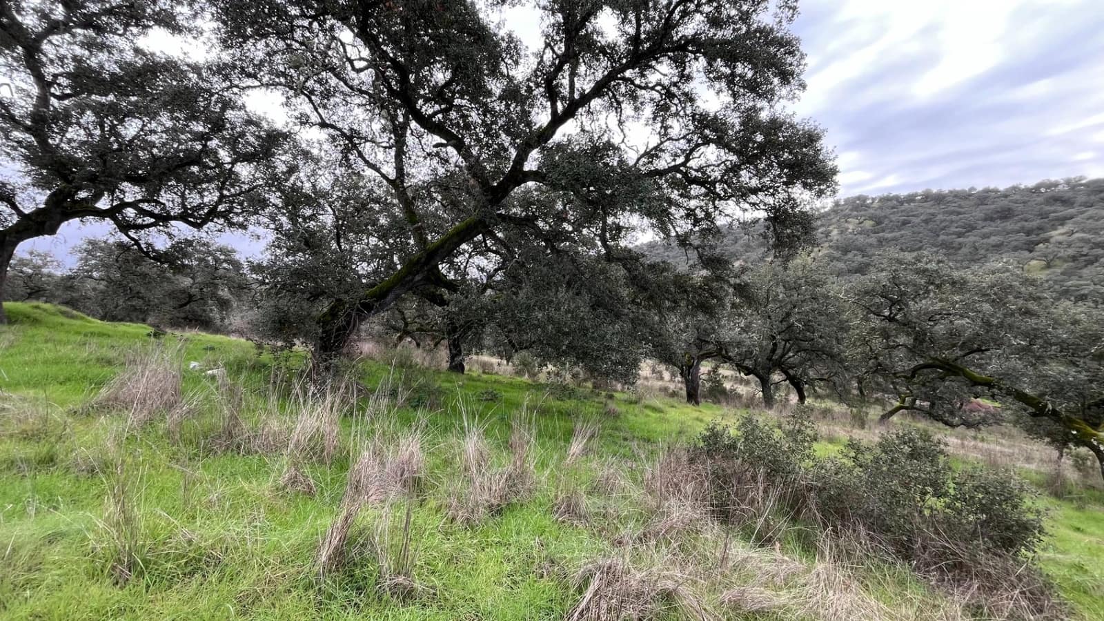 3 soveværelse Finca/Landehus til salg i El Castillo de las Guardas - € 170.000 (Ref: 9541202)