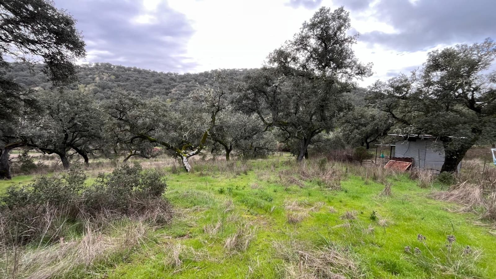 Finca/Casa Rural de 3 habitaciones en El Castillo de las Guardas en venta - 170.000 € (Ref: 9541202)