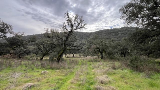 3 sovrum Finca/Hus på landet till salu i El Castillo de las Guardas - 170 000 € (Ref: 9541202)