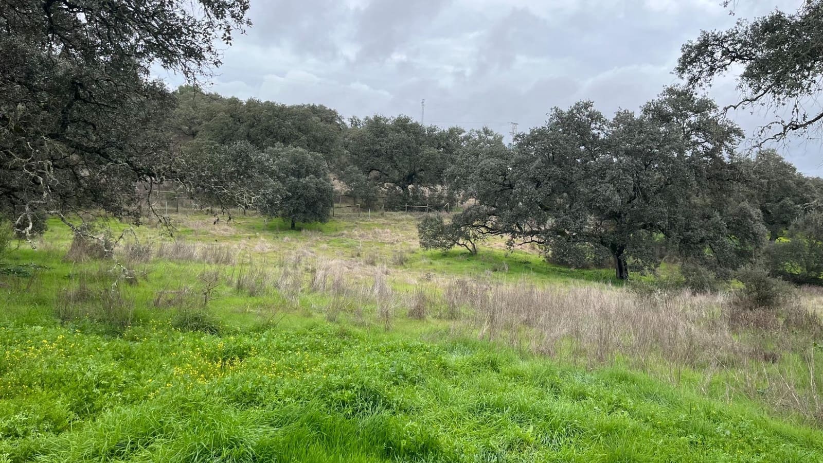 Finca/Casa Rural de 3 habitaciones en El Castillo de las Guardas en venta - 170.000 € (Ref: 9541202)