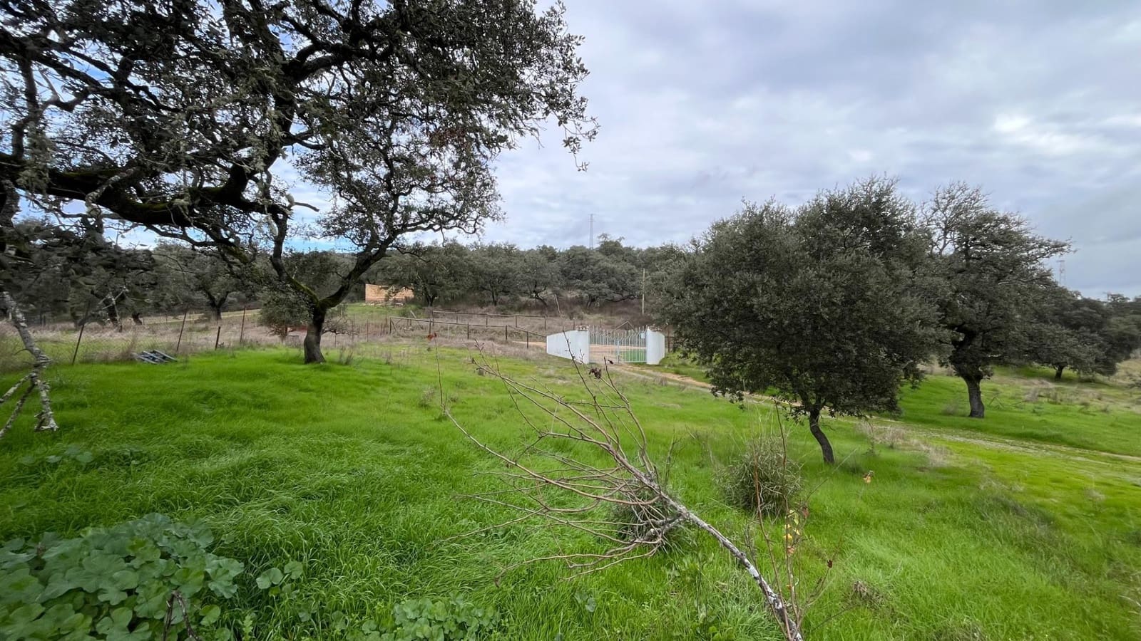 Finca/Casa Rural de 3 habitaciones en El Castillo de las Guardas en venta - 170.000 € (Ref: 9541202)