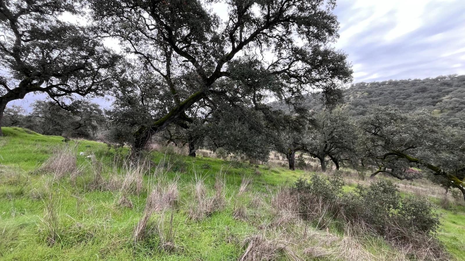 Finca/Casa Rural de 3 habitaciones en El Castillo de las Guardas en venta - 170.000 € (Ref: 9541202)