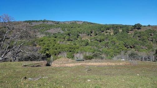 4 bedroom Finca/Country House for sale in Calera de Leon - € 480,000 (Ref: 9591387)
