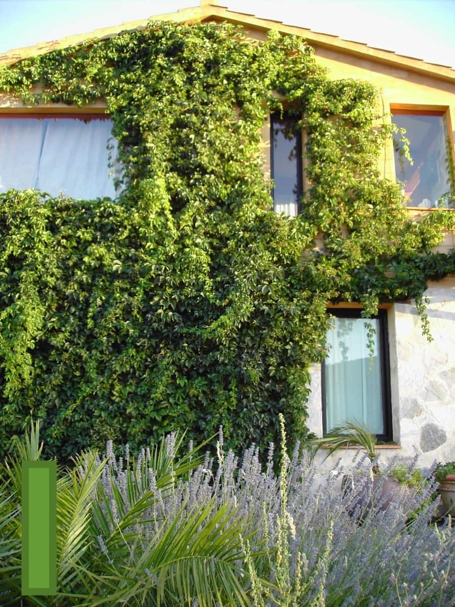 4 bedroom Finca/Country House for sale in Calera de Leon - € 480,000 (Ref: 9591387)