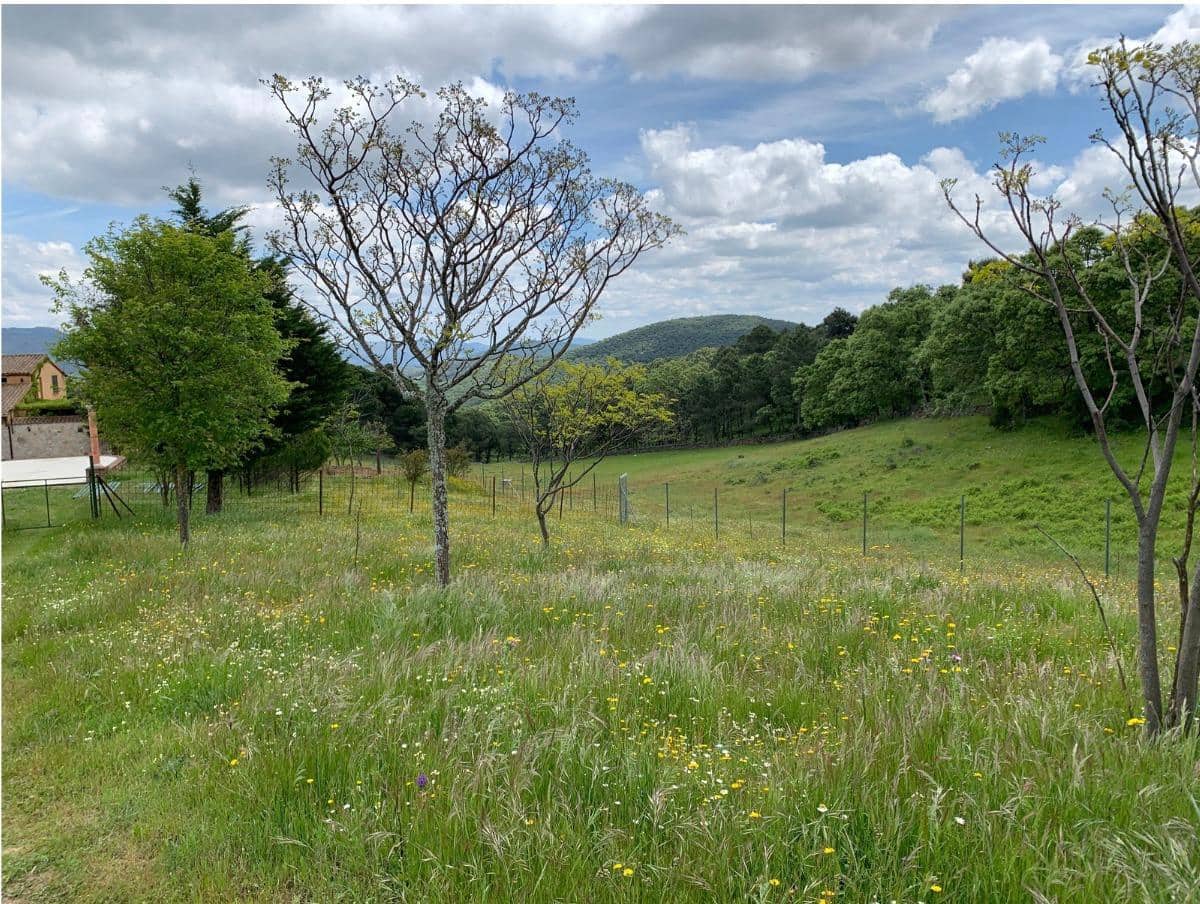 4 bedroom Finca/Country House for sale in Calera de Leon - € 480,000 (Ref: 9591387)