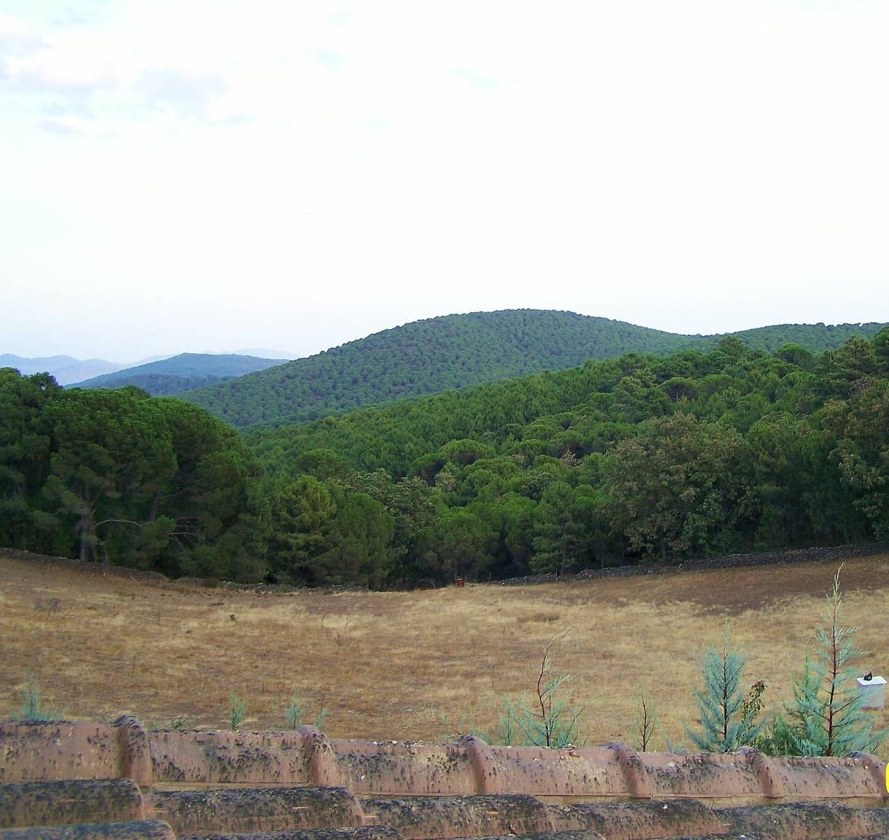 4 bedroom Finca/Country House for sale in Calera de Leon - € 480,000 (Ref: 9591387)