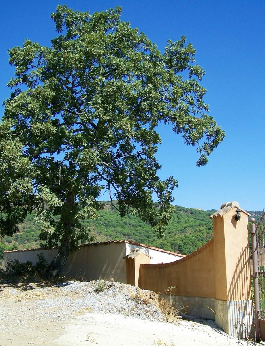 4 bedroom Finca/Country House for sale in Calera de Leon - € 480,000 (Ref: 9591387)