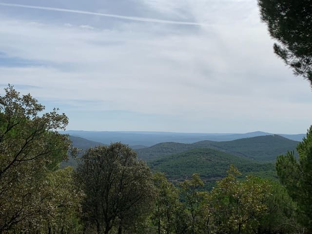 4 soverom Finca/Herregård til salgs i Calera de León - € 480 000 (Ref: 9591387)