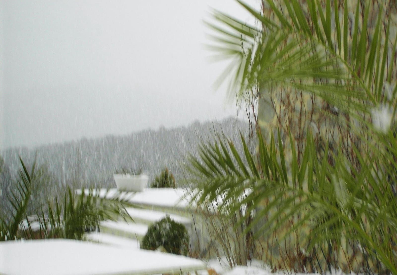 4 bedroom Finca/Country House for sale in Calera de Leon - € 480,000 (Ref: 9591387)