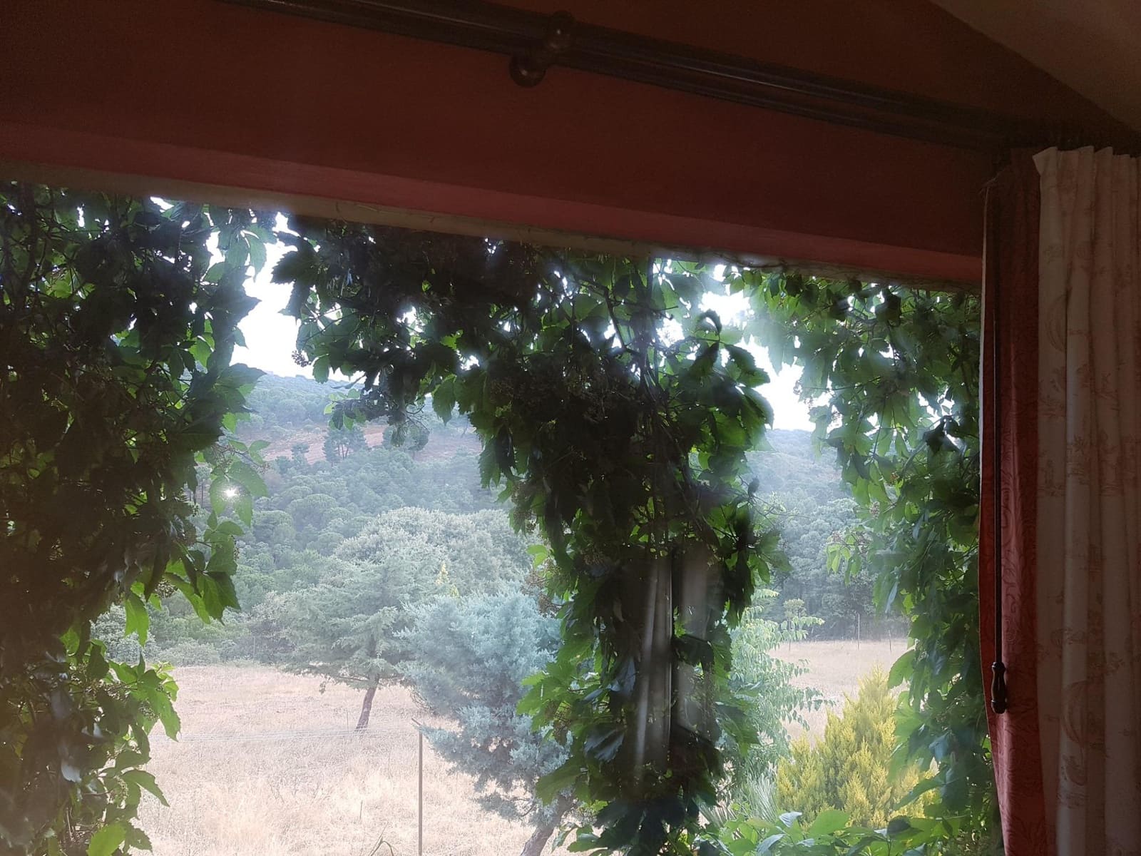 4 bedroom Finca/Country House for sale in Calera de Leon - € 480,000 (Ref: 9591387)