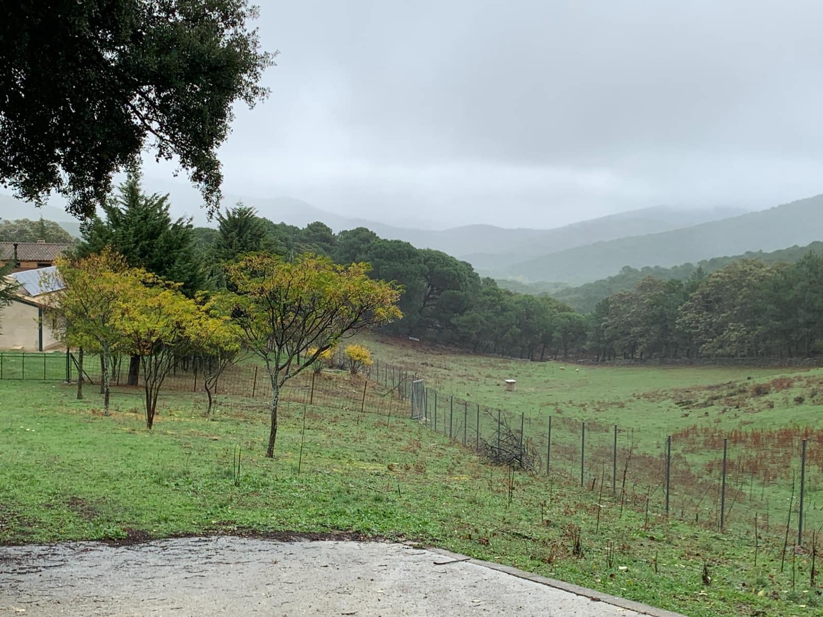 4 bedroom Finca/Country House for sale in Calera de Leon - € 480,000 (Ref: 9591387)