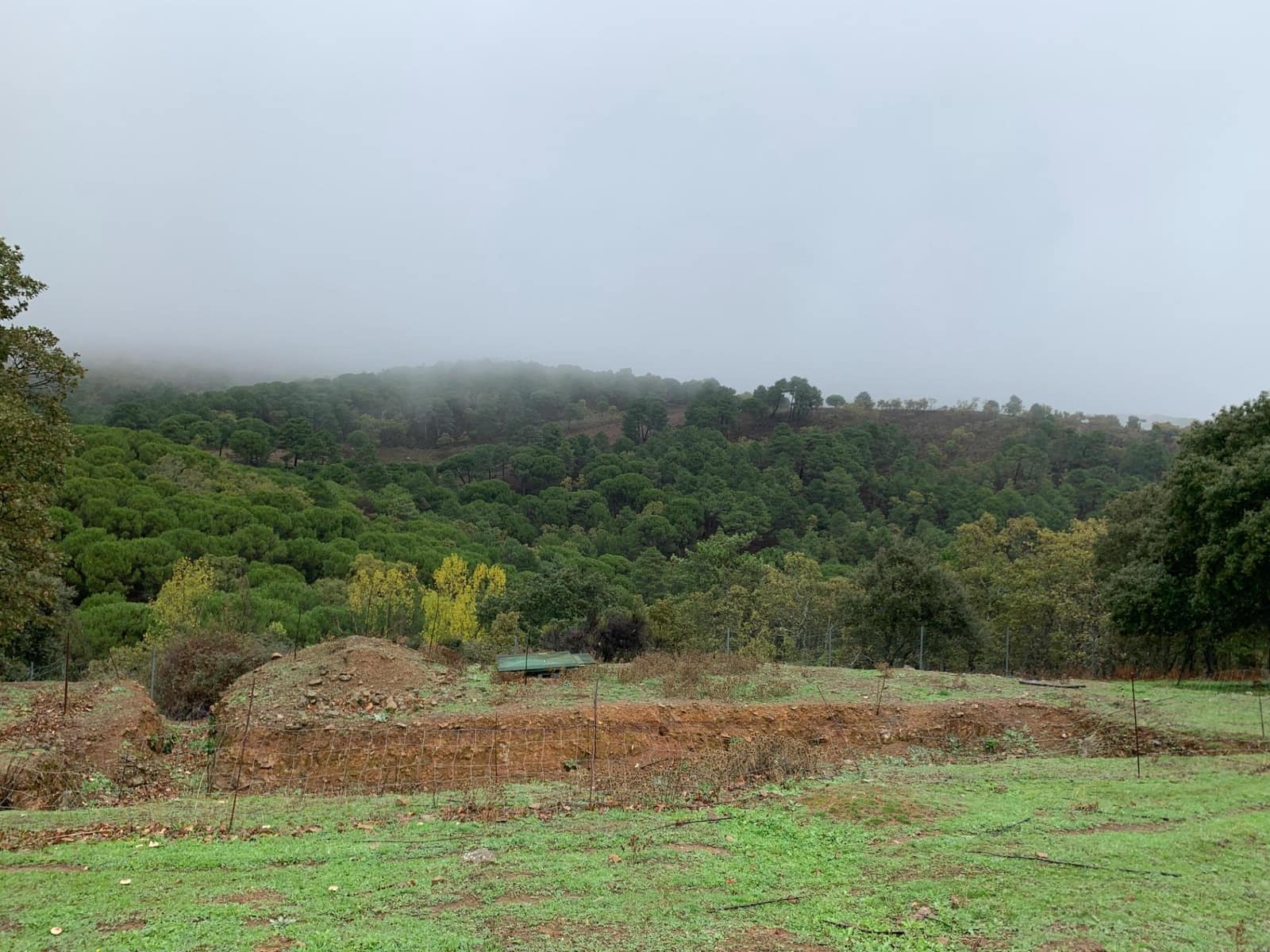 4 bedroom Finca/Country House for sale in Calera de Leon - € 480,000 (Ref: 9591387)