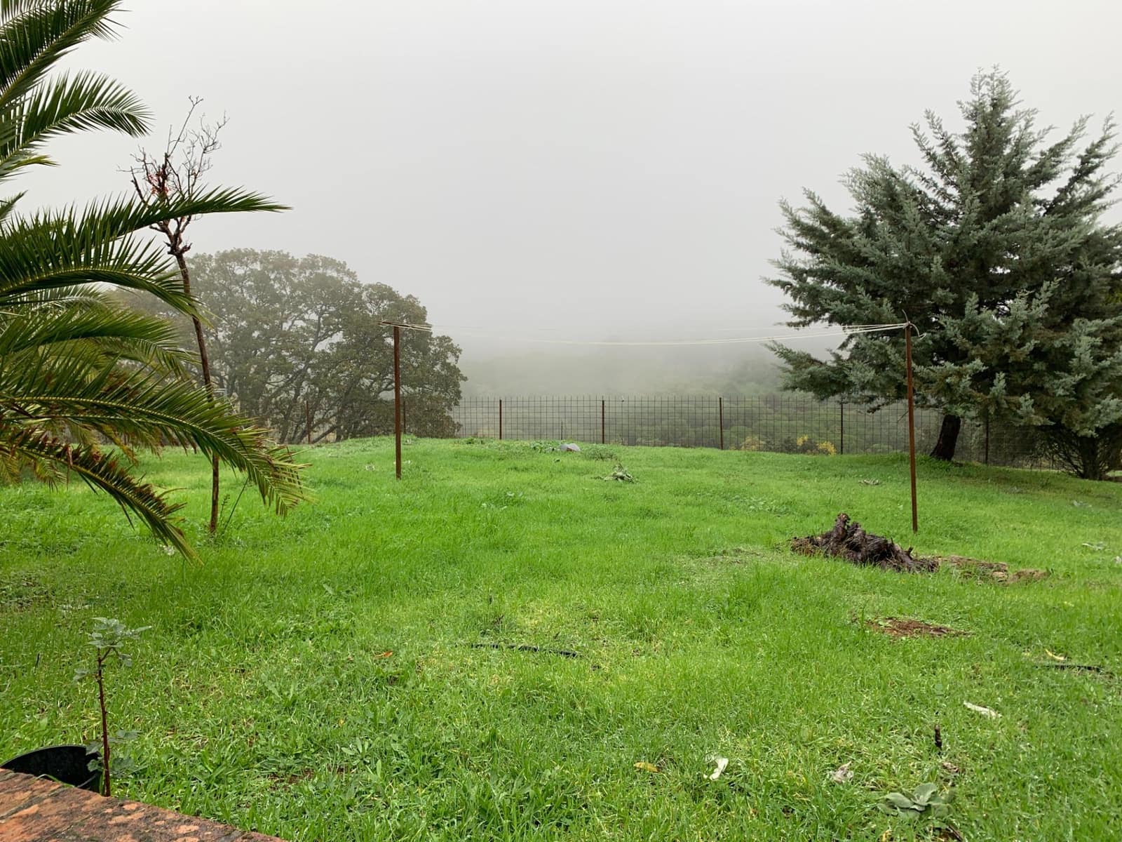 4 bedroom Finca/Country House for sale in Calera de Leon - € 480,000 (Ref: 9591387)