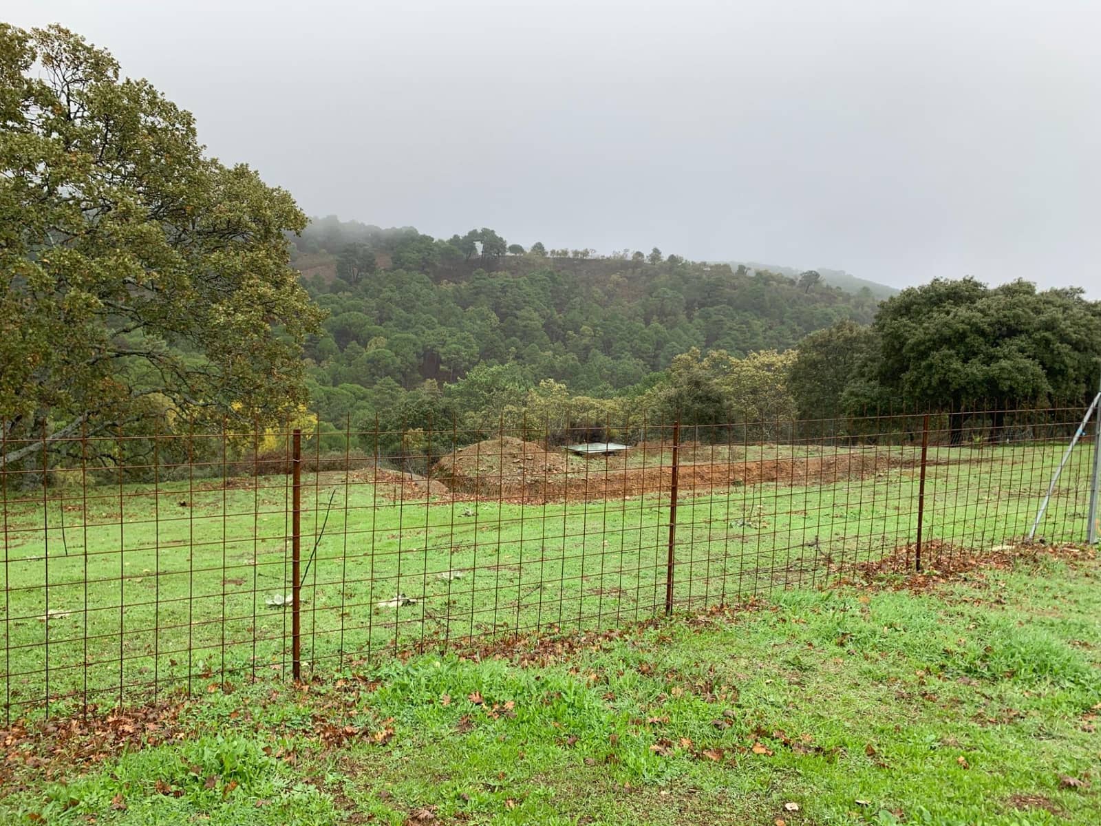 4 bedroom Finca/Country House for sale in Calera de Leon - € 480,000 (Ref: 9591387)