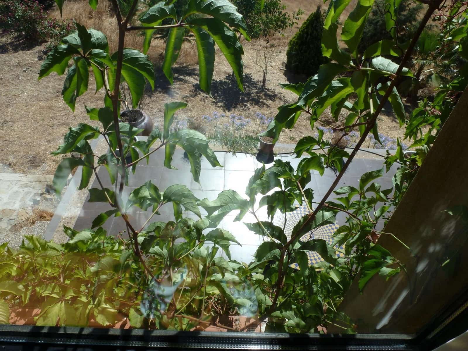 4 bedroom Finca/Country House for sale in Calera de Leon - € 480,000 (Ref: 9591387)