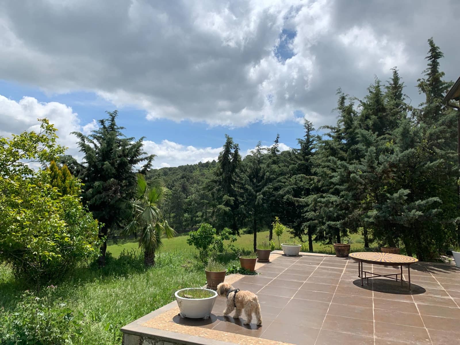 4 bedroom Finca/Country House for sale in Calera de Leon - € 480,000 (Ref: 9591387)