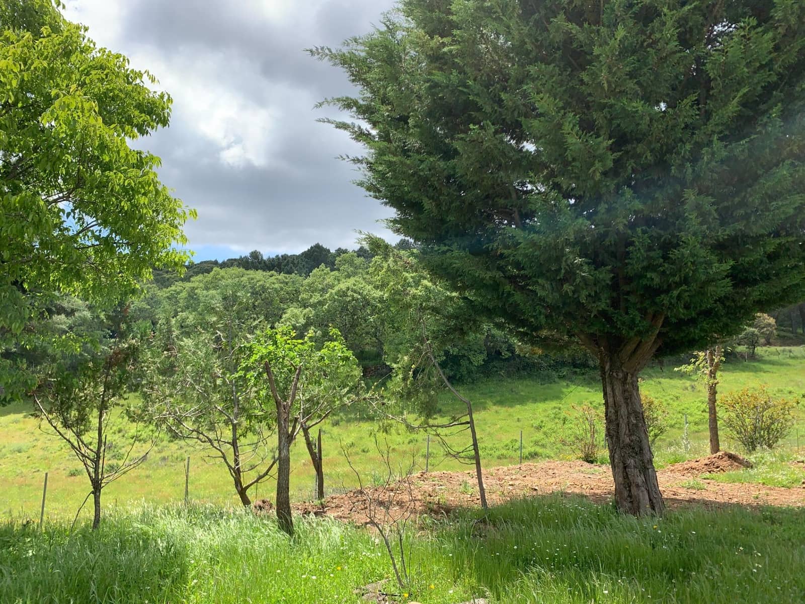 4 bedroom Finca/Country House for sale in Calera de Leon - € 480,000 (Ref: 9591387)