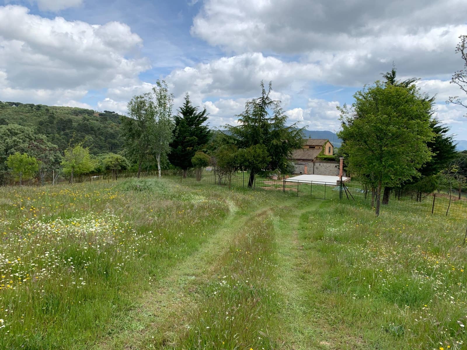 4 bedroom Finca/Country House for sale in Calera de Leon - € 480,000 (Ref: 9591387)