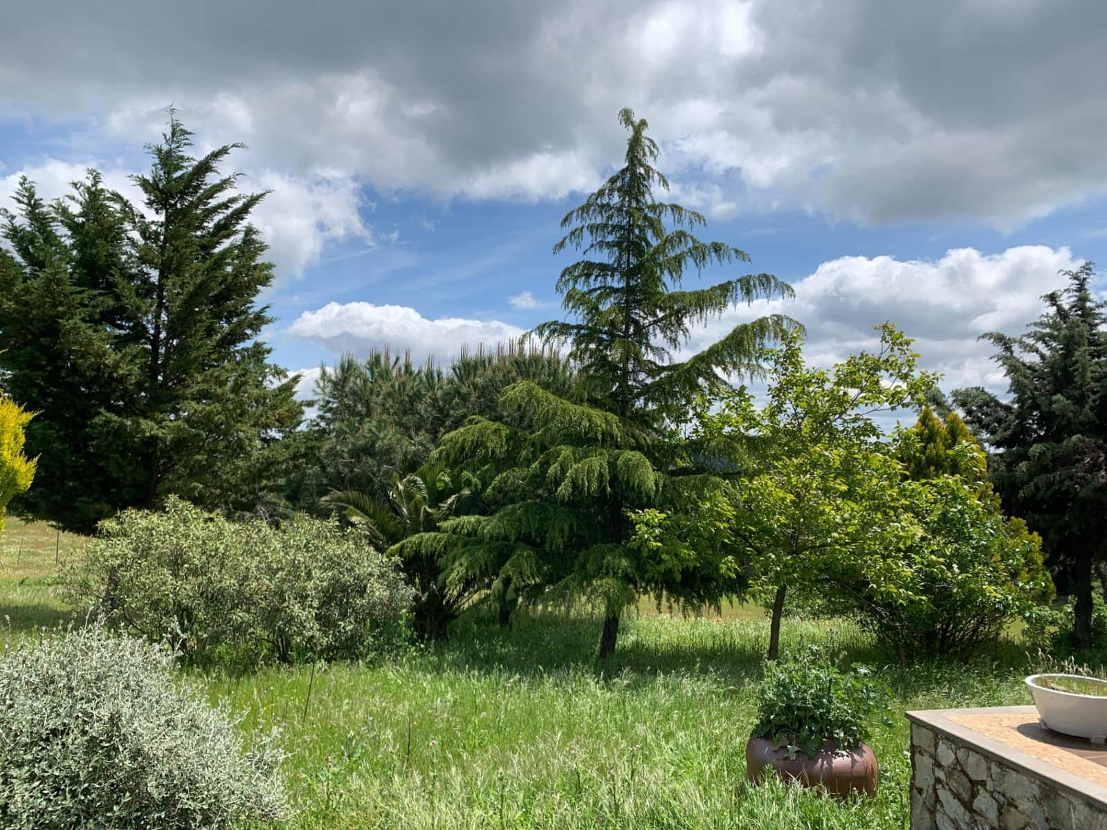 4 bedroom Finca/Country House for sale in Calera de Leon - € 480,000 (Ref: 9591387)