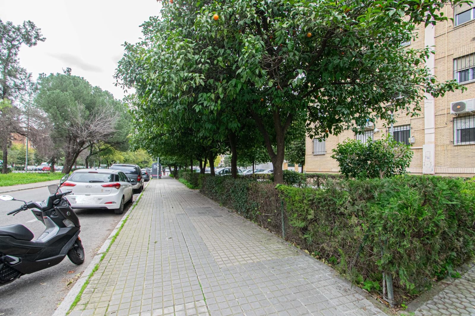 3 soveværelse Lejlighed til salg i Sevilla by - € 190.000 (Ref: 9615563)