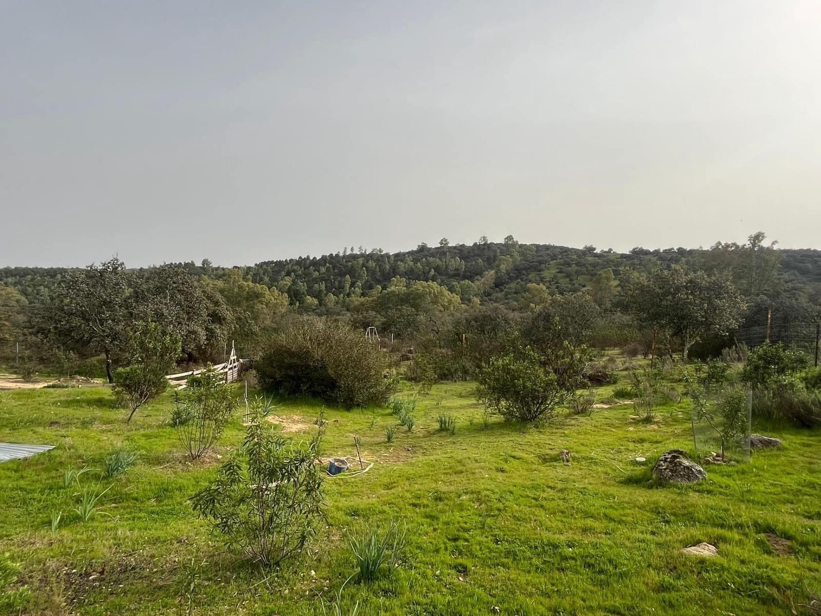 6 Zimmer Finca/Landgut zu verkaufen in El Ronquillo mit Pool - 320.000 € (Ref: 9663780)