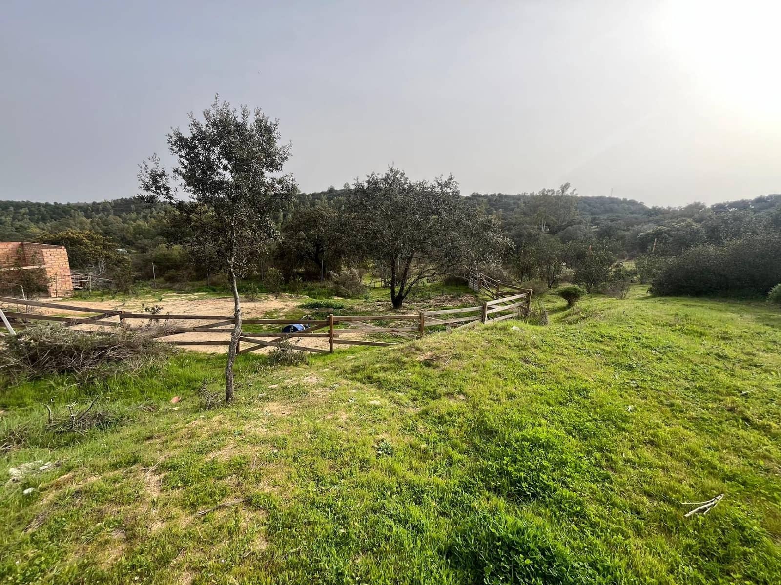 6 bedroom Finca/Country House for sale in El Ronquillo with pool - € 320,000 (Ref: 9663780)